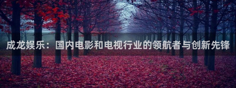 优游国际官网：成龙娱乐：国内电影和电视行业的领航者与创新先锋