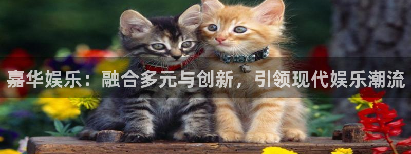 优游国际官网客服电话：嘉华娱乐：融合多元与创新，引领现代娱乐潮流