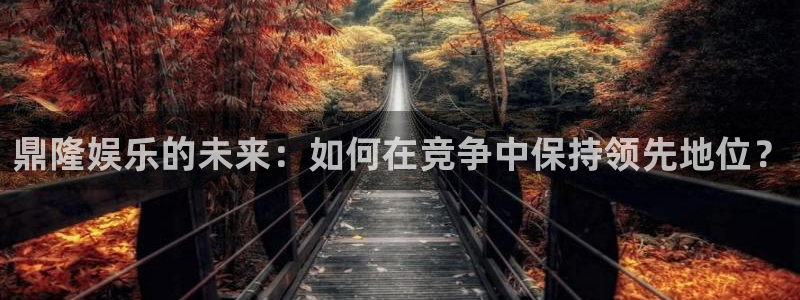 优游国际官网下载：鼎隆娱乐的未来：如何在竞争中保持领先地位？