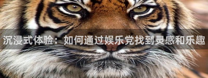 优游国际官网：沉浸式体验：如何通过娱乐党找到灵感和乐趣