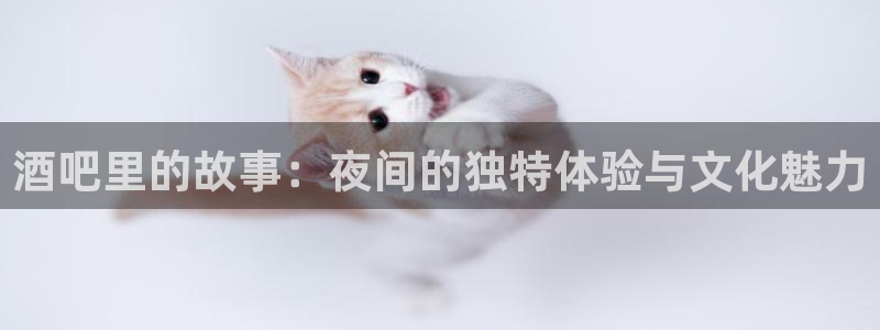优游国际官网：酒吧里的故事：夜间的独特体验与文化魅力