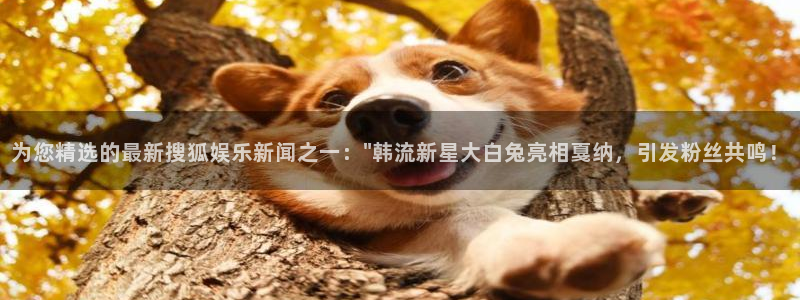 优游国际官网首页：为您精选的最新搜狐娱乐新闻之一：\