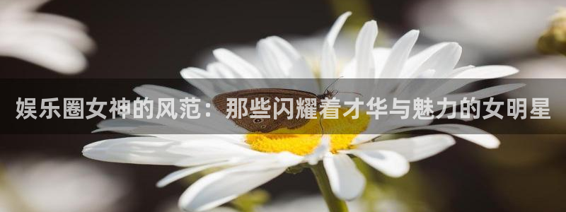 优游国际官网客服电话：娱乐圈女神的风范：那些闪耀着才华与魅力的女明星